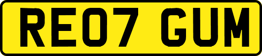 RE07GUM
