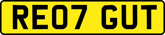 RE07GUT
