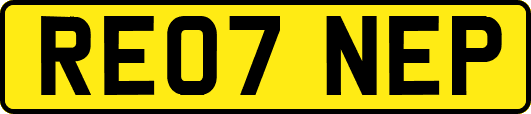 RE07NEP