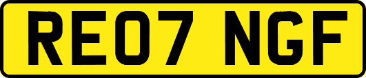 RE07NGF