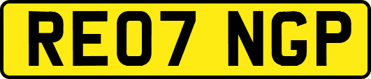 RE07NGP