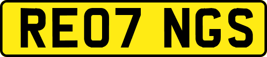 RE07NGS