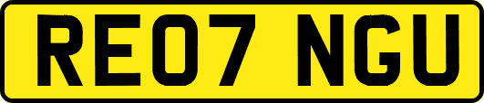 RE07NGU