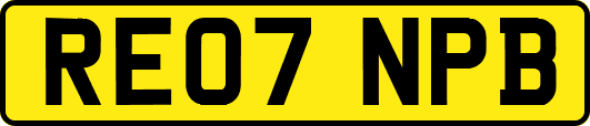RE07NPB