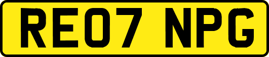 RE07NPG