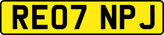 RE07NPJ
