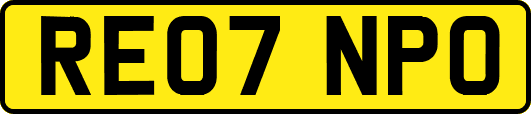 RE07NPO