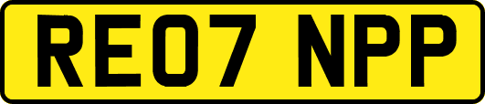 RE07NPP