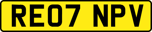 RE07NPV