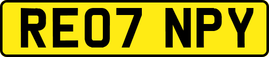 RE07NPY