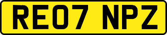 RE07NPZ