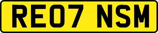RE07NSM