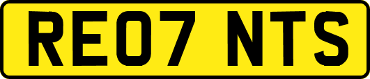 RE07NTS