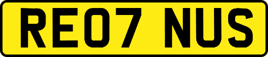 RE07NUS