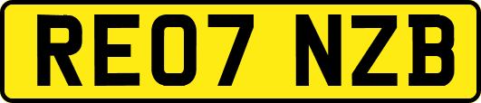RE07NZB