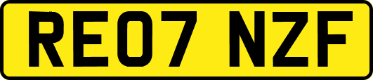 RE07NZF