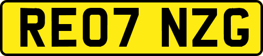 RE07NZG