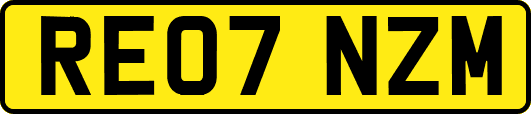 RE07NZM