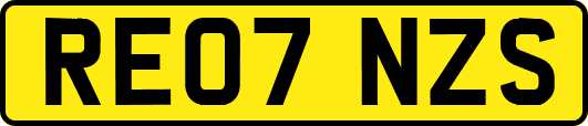 RE07NZS