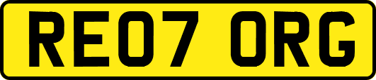 RE07ORG