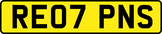 RE07PNS