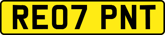RE07PNT