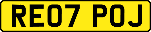 RE07POJ