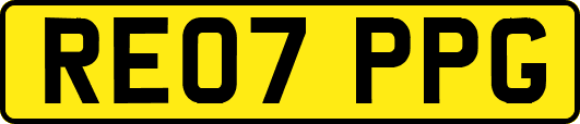 RE07PPG