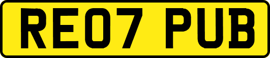 RE07PUB