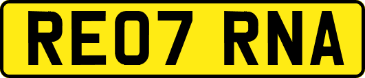 RE07RNA