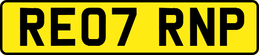 RE07RNP