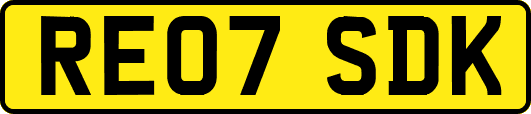 RE07SDK