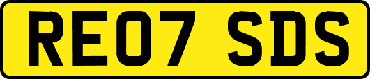 RE07SDS