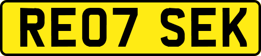 RE07SEK