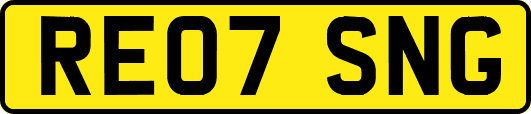 RE07SNG