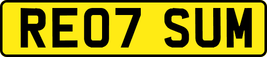 RE07SUM