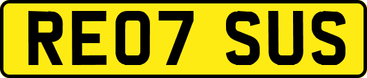 RE07SUS