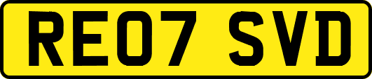RE07SVD