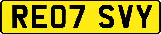 RE07SVY