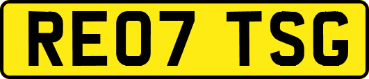 RE07TSG