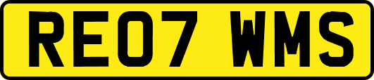 RE07WMS