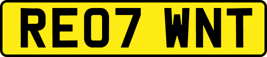 RE07WNT