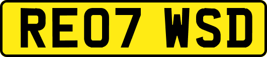 RE07WSD