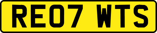 RE07WTS