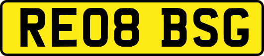 RE08BSG