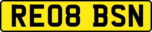RE08BSN