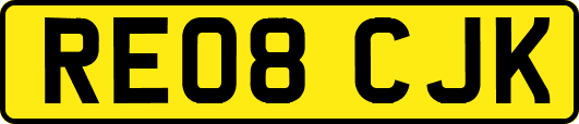 RE08CJK