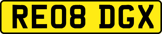 RE08DGX