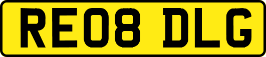 RE08DLG
