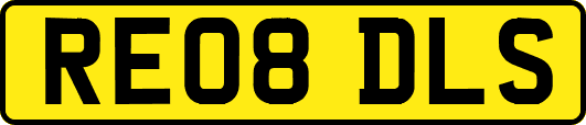 RE08DLS
